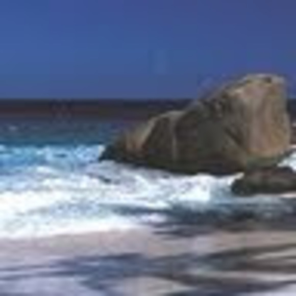 Meet your Posher, Raydene - Picture 1 of 1